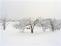 滑雪場(chǎng)