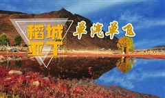 稻城亞丁、新都橋純玩五日游-單汽單飛